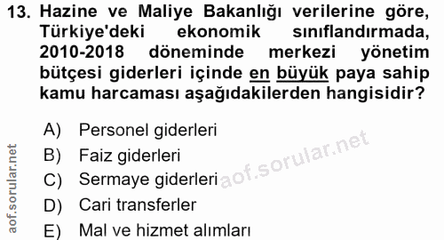 13. soru: Hazine ve Maliye Bakanlığı verilerine göre, Türkiye'deki ekonomik sinıflandırmada, 2010-2018 döneminde merkezi yöneti…