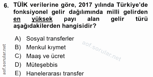 6. soru: TÜiK verilerine göre, 2017 yılında Türkiye'de fonksiyonel gelir dağılımında milli gelirden en yüksek pay! alan gelir…