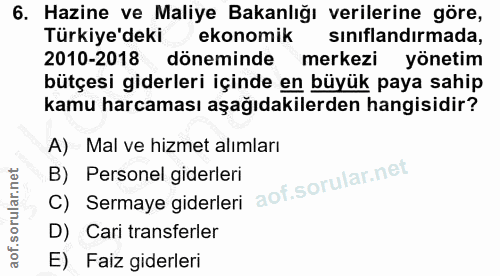 6. soru: Hazine ve Maliye Bakanlığı verilerine göre, Türkiye'deki ekonomik sınıflandırmada, 2010-2018 döneminde merkezi yöneti…