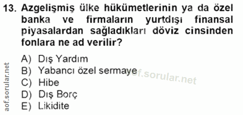 13. soru: Azgelişmiş ülke hükümetlerinin ya da özel banka ve firmaların yurtdışı finansal piyasalardan sağladıkları döviz cinsi…