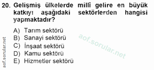 20. soru: Gelişmiş ülkelerde milli gelire en büyük katkıyı aşağıdaki sektörlerden hangisi yapmaktadır? A) Tarım sektörü B) Sana…