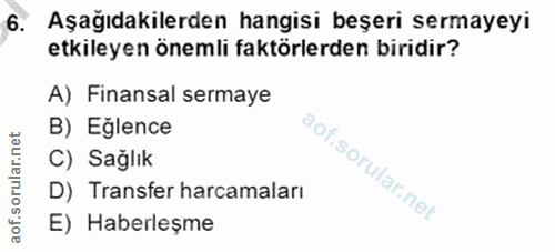 6. soru: Aşağıdakilerden hangisi beşeri sermayeyi etkileyen önemli faktörlerden biridir? A) Finansal sermaye B) Eğlence C) Sağ…