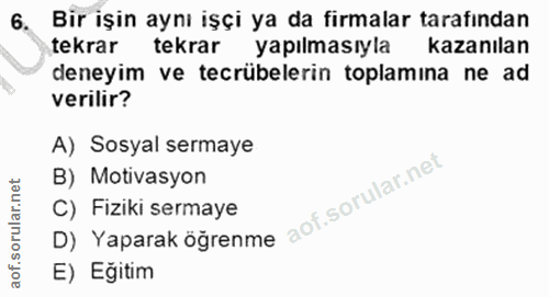 6. soru: Bir işin aynı işçi ya da firmalar tarafından tekrar tekrar yapılmasıyla kazanılan deneyim ve tecrübelerin toplamina n…