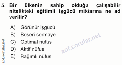 5. soru: Bir ülkenin sahip olduğu çalışabilir nitelikteki eğitimli işgücü miktarına ne ad verilir? A) Görünür işgücü B) Beşeri…