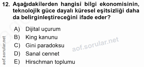 12. soru: Aşağıdakilerden hangisi bilgi ekonomisinin, teknolojik güce dayalı küresel eşitsizliği daha da belirginleştireceğini…
