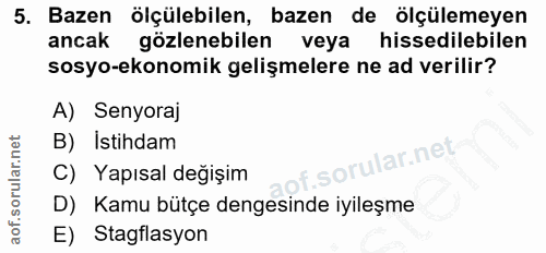 5. soru: Bazen ölçülebilen, bazen de ölçülemeyen ancak gözlenebilen veya hissedilebilen sosyo-ekonomik gelişmelere ne ad veril…