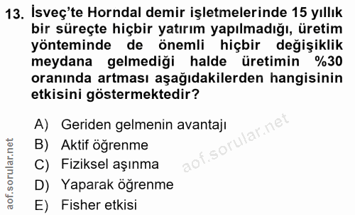13. soru: İsveç'te Horndal demir işletmelerinde 15 yıllık bir süreçte hiçbir yatırım yapılmadığı, üretim yönteminde de önemli h…