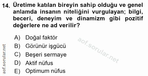 14. soru: Üretime katılan bireyin sahip olduğu ve genel anlamda insanın niteliğini vurgulayan; bilgi, beceri, deneyim ve dinami…