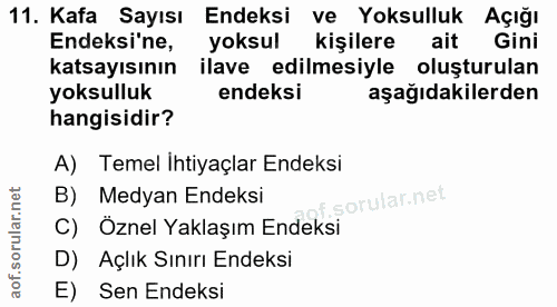 11. soru: Kafa Sayısı Endeksi ve Yoksulluk Açığı Endeksi'ne, yoksul kişilere ait Gini katsayısının ilave edilmesiyle oluşturula…