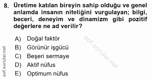 8. soru: Üretime katılan bireyin sahip olduğu ve genel anlamda insanın niteliğini vurgulayan; bilgi, beceri, deneyim ve dinami…