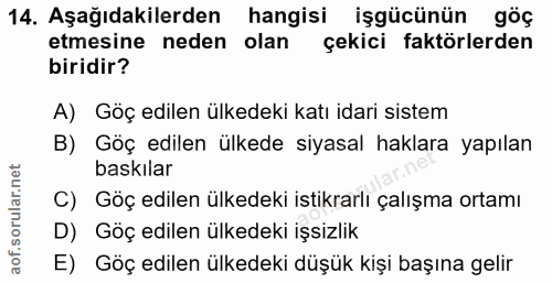 14. soru: Aşağıdakilerden hangisi işgücünün göç etmesine neden olan çekici faktörlerden biridir? A) Göç edilen ülkedeki katı id…
