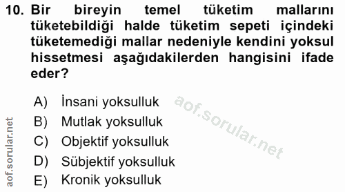 10. soru: Bir bireyin temel tüketim mallarını tüketebildiği halde tüketim sepeti içindeki tüketemediği mallar nedeniyle kendini…