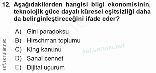 12. soru: Aşağıdakilerden hangisi bilgi ekonomisinin, teknolojik güce dayalı küresel eşitsizliği daha da belirginleştireceğini…