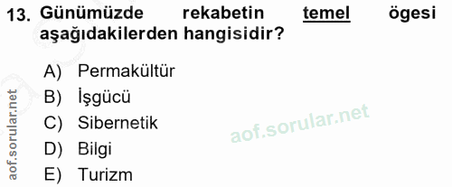 13. soru: Günümüzde rekabetin temel ögesi aşağıdakilerden hangisidir? A) Permakültür B) İşgücü C) Sibernetik D) Bilgi E) Turizm