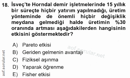 18. soru: İsveç'te Horndal demir işletmelerinde 15 yıllık bir süreçte hiçbir yatırım yapılmadığı, üretim yönteminde de önemli h…