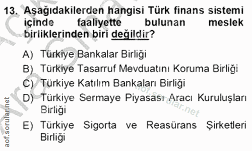 13. soru: Aşağıdakilerden hangisi Türk finans sistemi içinde faaliyette bulunan meslek birliklerinden biri değildir? A) Türkiye…