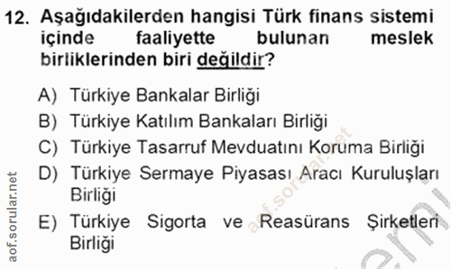 12. soru: Aşağıdakilerden hangisi Türk finans sistemi içinde faaliyette bulunan meslek birliklerinden biri değildir? A) Türkiye…