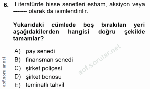 6. soru: Literatürde hisse senetleri esham, aksiyon veya --- olarak da isimlendirilir. Yukarıdaki cümlede boş bırakılan yeri a…