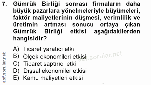 7. soru: Gümrük Birliği sonrası firmaların daha büyük pazarlara yönelmeleriyle büyümeleri, faktör maliyetlerinin düşmesi, veri…