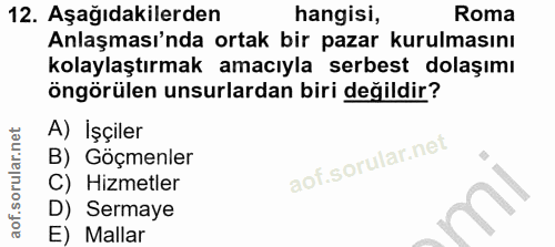 12. soru: Aşağıdakilerden hangisi, Roma Anlaşması'nda ortak bir pazar kurulmasını kolaylaştırmak amacıyla serbest dolaşımı öngö…