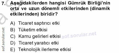 7. soru: Aşağıdakilerden hangisi Gümrük Birliği'nin orta ve uzun dönemli etkilerinden (dinamik etkilerinden) biridir? A) Ticar…