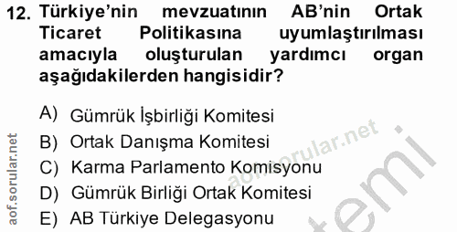 12. soru: Türkiye'nin mevzuatının AB'nin Ortak Ticaret Politikasına uyumlaştırılması amacıyla oluşturulan yardımcı organ aşağıd…