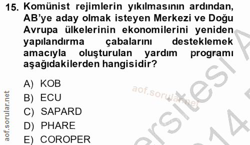 15. soru: Komünist rejimlerin yıkılmasının ardından, AB'ye aday olmak isteyen Merkezi ve Doğu Avrupa ülkelerinin ekonomilerini…