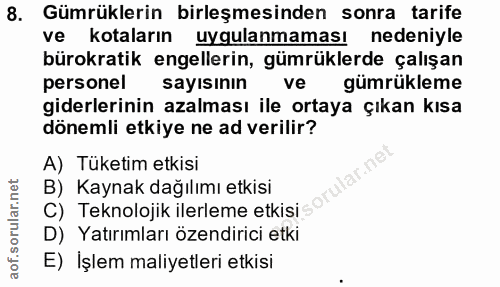 8. soru: Gümrüklerin birleşmesinden sonra tarife ve kotaların uygulanmaması nedeniyle bürokratik engellerin, gümrüklerde çalış…
