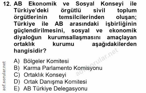 12. soru: AB Ekonomik ve Sosyal Konseyi ile Türkiye'deki örgütlü sivil toplum örgütlerinin temsilcilerinden oluşan; Türkiye ile…