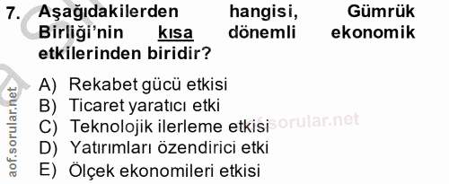 7. soru: Aşağıdakilerden hangisi, Gümrük Birliği'nin kısa dönemli ekonomik etkilerinden biridir? A) Rekabet gücü etkisi B) Tic…