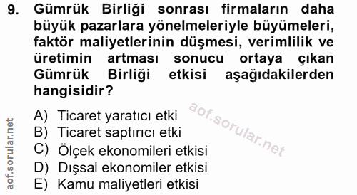 9. soru: Gümrük Birliği sonrası firmaların daha büyük pazarlara yönelmeleriyle büyümeleri, faktör maliyetlerinin düşmesi, veri…
