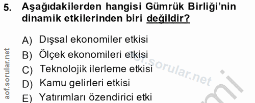 5. soru: Aşağıdakilerden hangisi Gümrük Birliği'nin dinamik etkilerinden biri değildir? A) Dışsal ekonomiler etkisi B) Ölçek e…