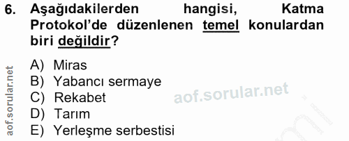 6. soru: Aşağıdakilerden hangisi, Katma Protokol'de düzenlenen temel konulardan biri değildir? A) Miras B) Yabancı sermaye C)…