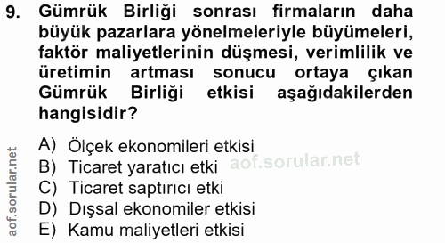 9. soru: Gümrük Birliği sonrası firmaların daha büyük pazarlara yönelmeleriyle büyümeleri, faktör maliyetlerinin düşmesi, veri…