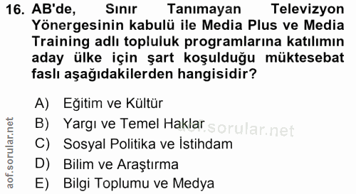 16. soru: AB'de, Sınır Tanımayan Televizyon Yönergesinin kabulü ile Media Plus ve Media Training adlı topluluk programlarına ka…