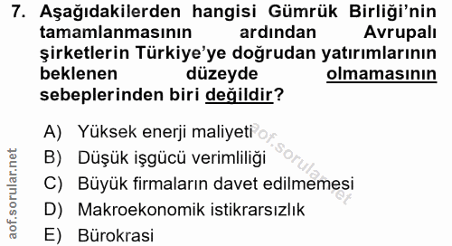 7. soru: Aşağıdakilerden hangisi Gümrük Birliği'nin tamamlanmasının ardından Avrupali şirketlerin Türkiye'ye dogrudan yatırıml…