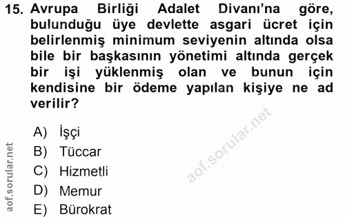 15. soru: Avrupa Birliği Adalet Divanı'na göre, bulunduğu üye devlette asgari ücret için belirlenmiş minimum seviyenin altında…