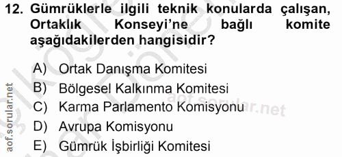 12. soru: Gümrüklerle ilgili teknik konularda çalışan, Ortaklık Konseyi'ne bağlı komite aşağıdakilerden hangisidir? A) Ortak Da…