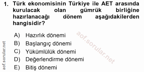 1. soru: Türk ekonomisinin Türkiye ile AET arasında kurulacak olan gümrük birligine hazırlanacağı dönem aşağıdakilerden hangis…