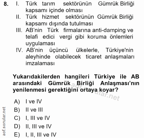 8. soru: I. Türk tarım sektörünün Gümrük Birliği kapsamı içinde olması II. Türk hizmet sektörünün Gümrük Birliği kapsamı dışın…