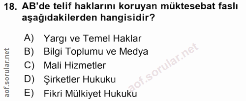 18. soru: AB'de telif haklarını koruyan müktesebat faslı aşağıdakilerden hangisidir? A) Yargı ve Temel Haklar B) Bilgi Toplumu…