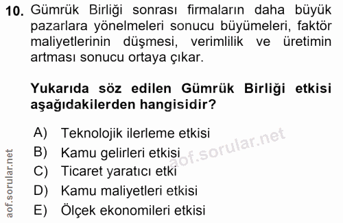 10. soru: Gümrük Birliği sonrası firmaların daha büyük pazarlara yönelmeleri sonucu büyümeleri, faktör maliyetlerinin düşmesi,…
