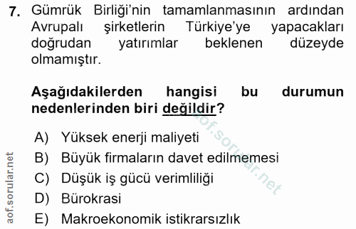 7. soru: Gümrük Birliği'nin tamamlanmasının ardından Avrupalı şirketlerin Türkiye'ye yapacakları doğrudan yatırımlar beklenen…