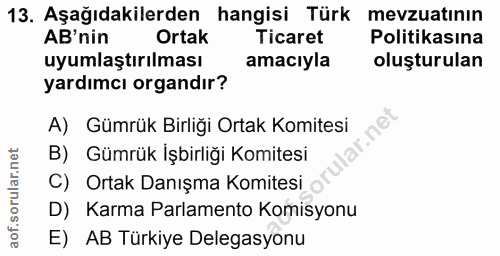 13. soru: Aşağıdakilerden hangisi Türk mevzuatının AB'nin Ortak Ticaret Politikasına uyumlaştırılması amacıyla oluşturulan yard…