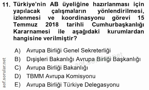 11. soru: Türkiye'nin AB üyeliğine hazırlanması için yapılacak çalışmaların yönlendirilmesi, izlenmesi ve koordinasyonu görevi…