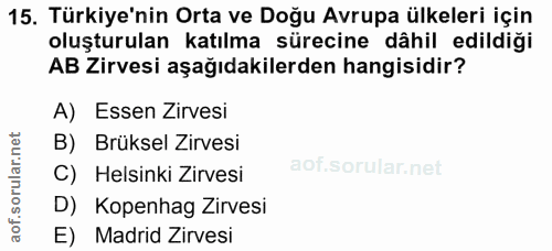 15. soru: Türkiye'nin Orta ve Doğu Avrupa ülkeleri için oluşturulan katılma sürecine dâhil edildiği AB Zirvesi aşağıdakilerden…