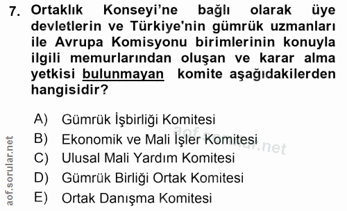 7. soru: Ortaklık Konseyi'ne bağlı olarak üye devletlerin ve Türkiye'nin gümrük uzmanları ile Avrupa Komisyonu birimlerinin ko…