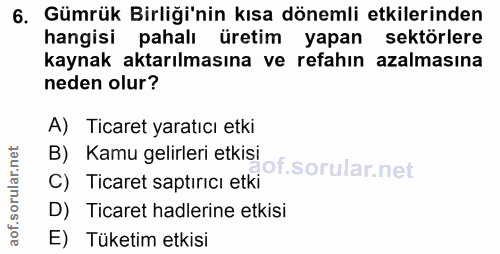 6. soru: Gümrük Birliği'nin kısa dönemli etkilerinden hangisi pahalı üretim yapan sektörlere kaynak aktarılmasına ve refahın a…