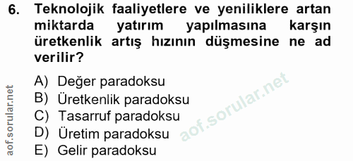 6. soru: Teknolojik faaliyetlere ve yeniliklere artan miktarda yatırım yapılmasına karşın üretkenlik artış hızının düşmesine n…