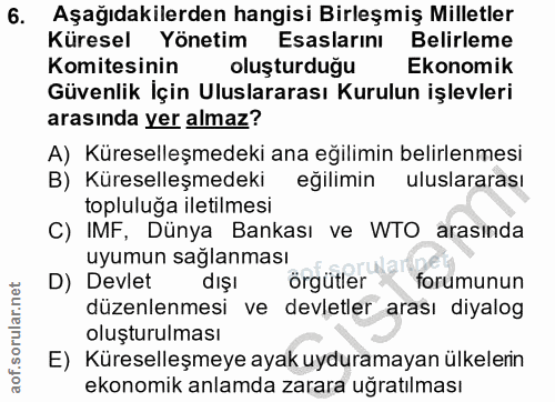 6. soru: Aşağıdakilerden hangisi Birleşmiş Milletler Küresel Yönetim Esaslarını Belirleme Komitesinin oluşturduğu Ekonomik Güv…